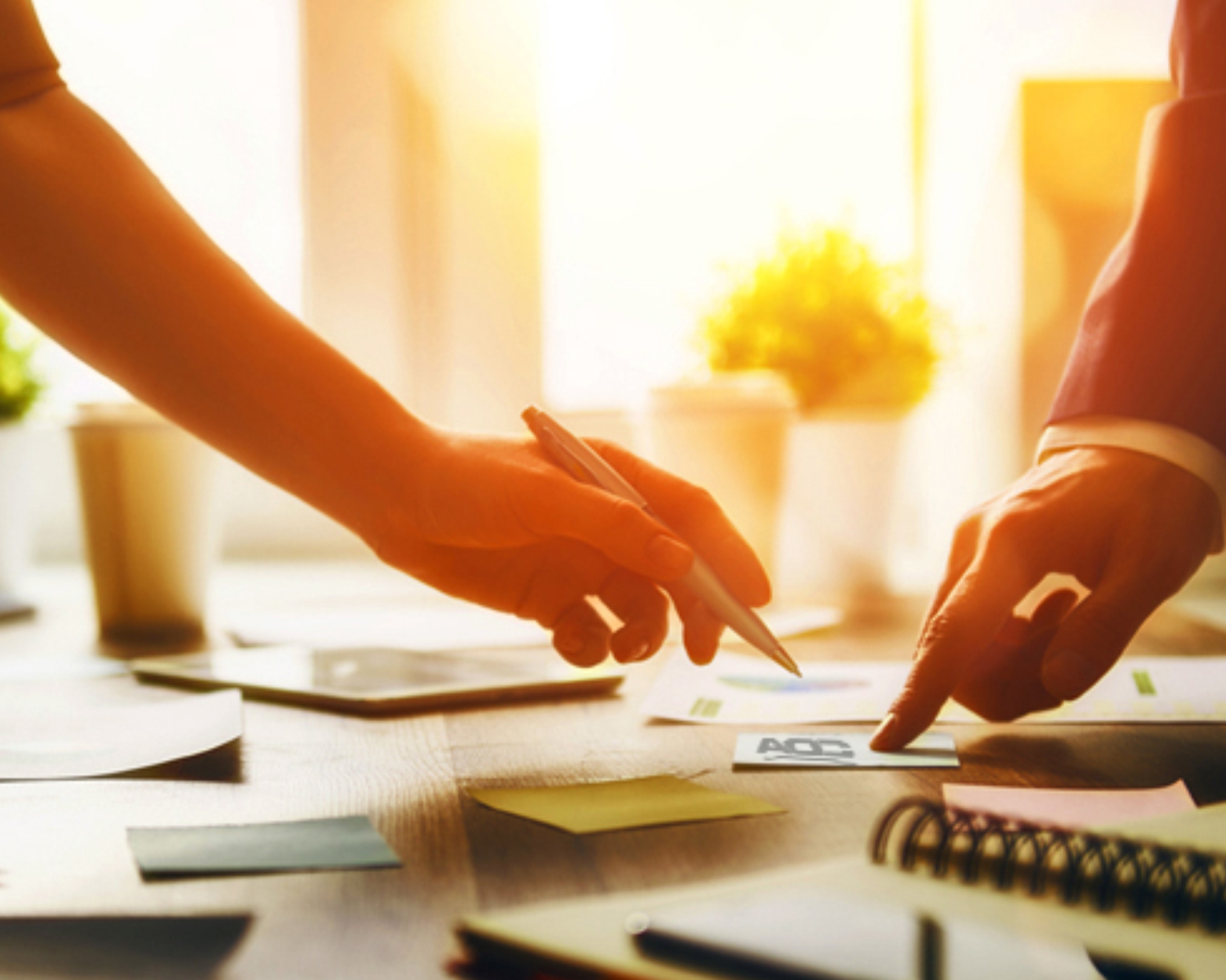 Delhi NCR business registration services