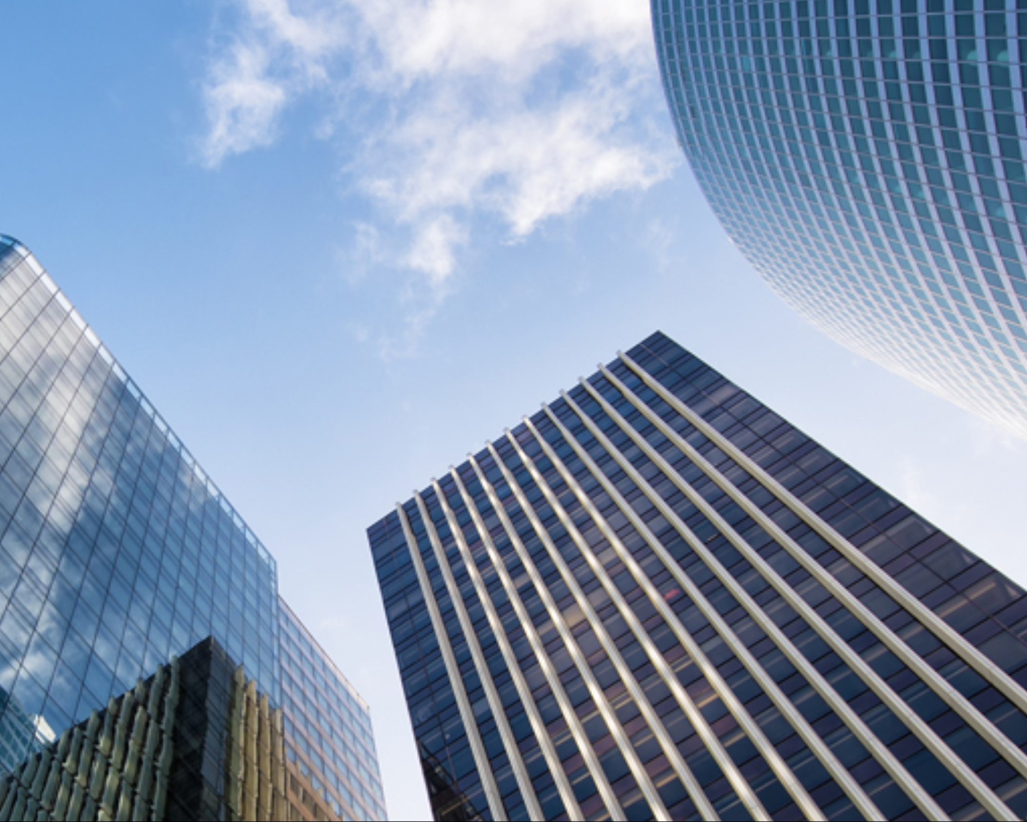 Business licensing and tax registration services in Delhi NCR